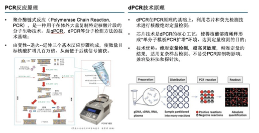 PCR仪在IVD体外诊断方面的应用